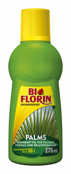 Bi Florin PALMS